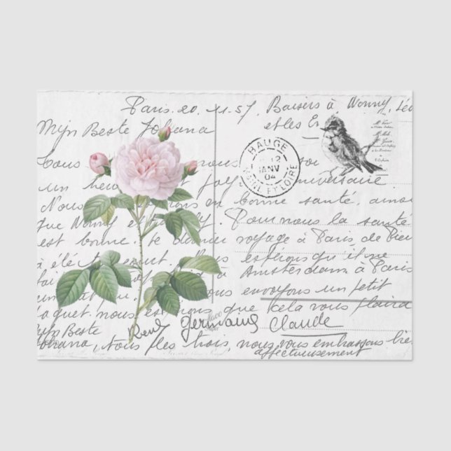 Papier Mousseline Carte postale Vintage Blush Rose Bird (Recto)