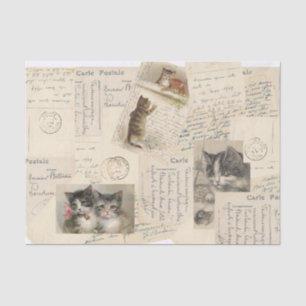 Papier Mousseline Carte postale vintage pour chat papier Tissu
