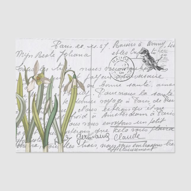 Papier Mousseline Carte postale Vintage Snowdrop Bird (Recto)