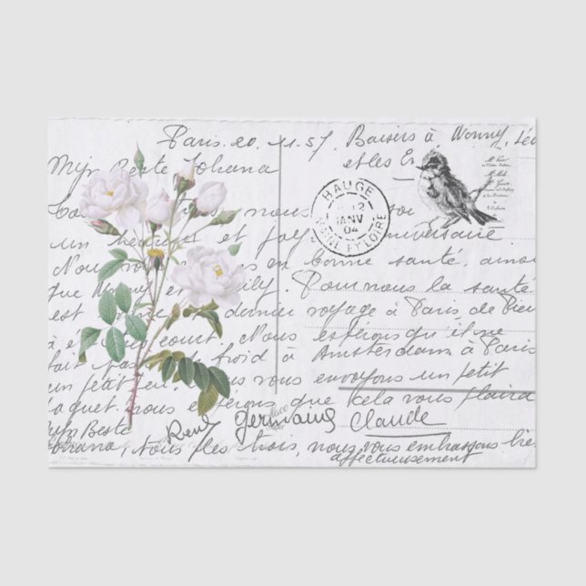 Papier Mousseline Carte postale Vintage White Rose Bird (Recto)