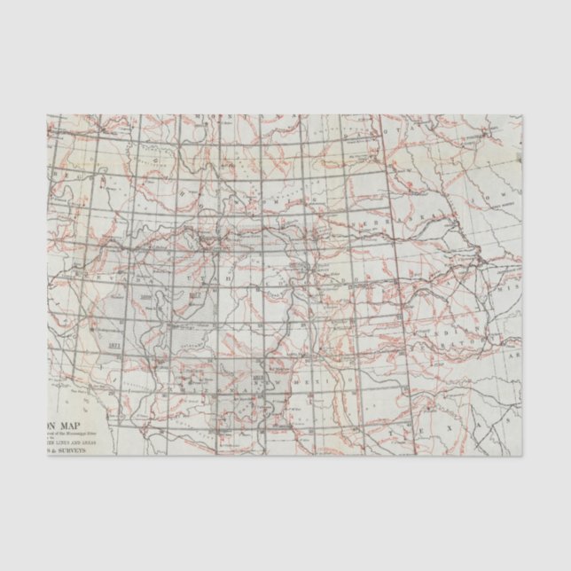 Papier Mousseline Carte squelettique (Recto)