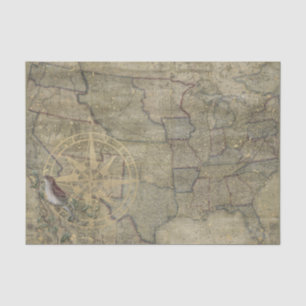 Papier Mousseline Carte vintage des États-Unis