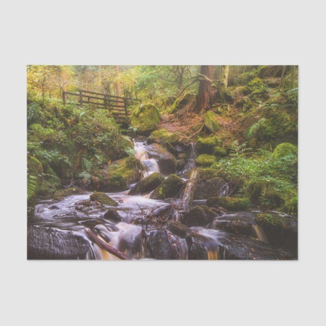 Papier Mousseline Cascade douce Brook (Recto)