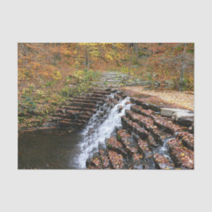 Papier Mousseline Cascade du parc d'état Laurel Hill State Park II