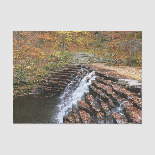 Papier Mousseline Cascade du parc d'état Laurel Hill State Park II (Recto)