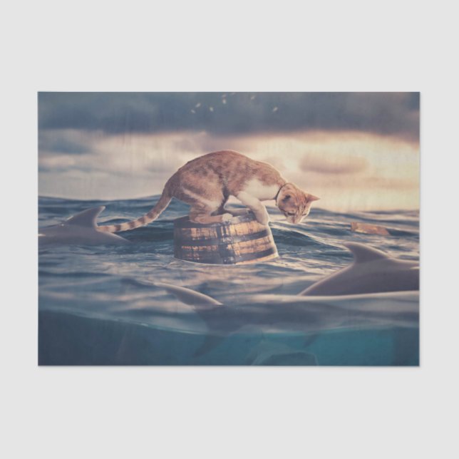 Papier Mousseline Cat Nap Dream ou cauchemar (Recto)