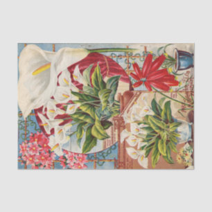 Papier Mousseline Catalogue de graines anciennes callas et jacinthes