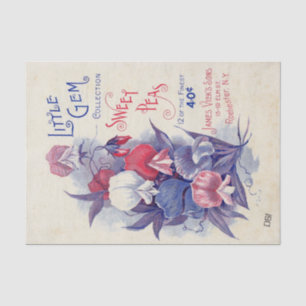 Papier Mousseline Catalogue de graines anciennes de James Vick's Swe