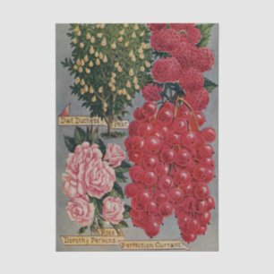 Papier Mousseline Catalogue de graines anciennes Fruits et Fleurs