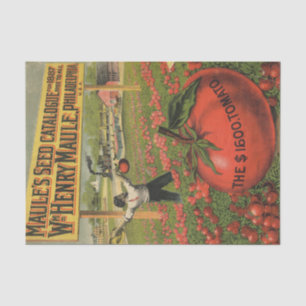 Papier Mousseline Catalogue de graines anciennes Maule's 1887 Tomate