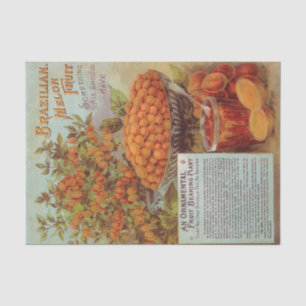 Papier Mousseline Catalogue de graines anciennes Melon Fruit brésili