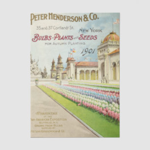 Papier Mousseline Catalogue de graines anciennes Peter Henderson 190