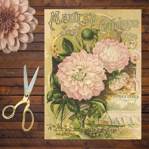 Papier Mousseline Catalogue de graines de fleurs vintage Dahlia rose
