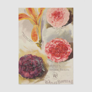 Papier Mousseline Catalogue de graines vintage, Balsamines Défiante