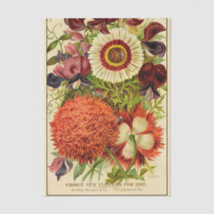Papier Mousseline Catalogue de graines vintage Burpee Nouvelles Fleu