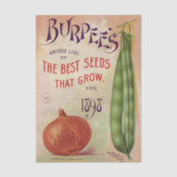 Catalogue de graines vintage Burpee's Company 1898