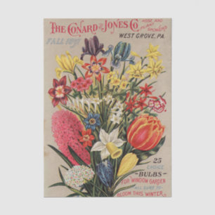 Papier Mousseline Catalogue de graines vintage Conard and Jones Co.