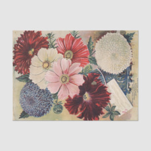 Papier Mousseline Catalogue de graines vintage Cosmos, Pétunias, Ast
