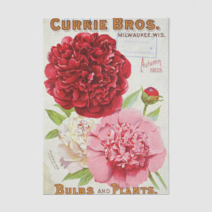 Papier Mousseline Catalogue de graines vintage Currie Bros, Automne