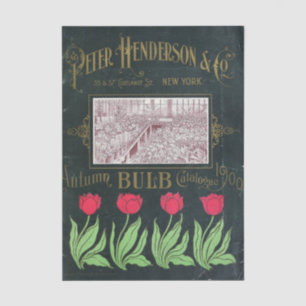 Papier Mousseline Catalogue de graines vintage Peter Henderson, 1901
