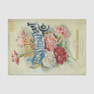 Papier Mousseline Catalogue des semences vintages 1898 Graines forte