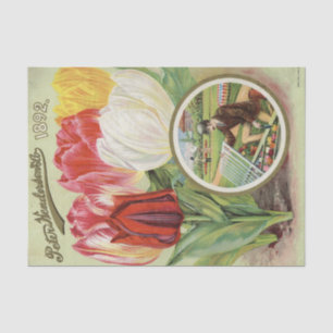 Papier Mousseline Catalogue des semences vintages Tulipes de 1892 de