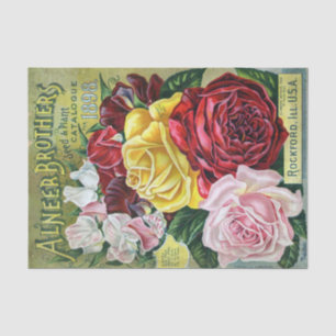 Papier Mousseline Catalogue vintage de semences Alneer Brothers, Ros