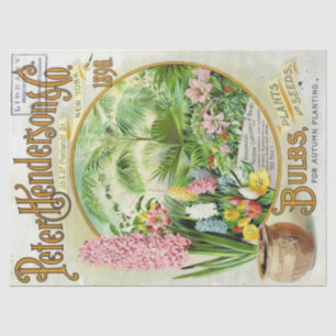 Papier Mousseline Catalogue vintage de semences Henderson 1896 Ampou