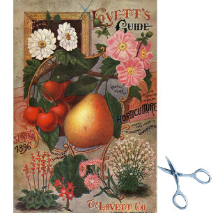 Papier Mousseline Catalogue vintage de semences Lovett's Guide Print