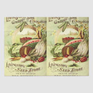 Papier Mousseline Catalogue vintage des semences de l'ère victorienn