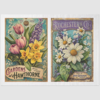 Papier Mousseline Catoloque vintage semence x 2 modèles