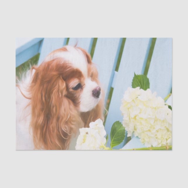 Papier Mousseline Cavalier King Charles Spaniel avec hortensias (Recto)