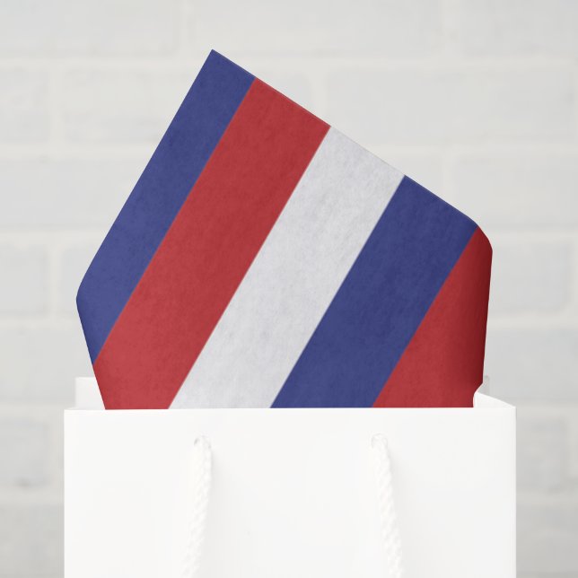 Papier Mousseline Célébration du 4 juillet (Sac cadeau)