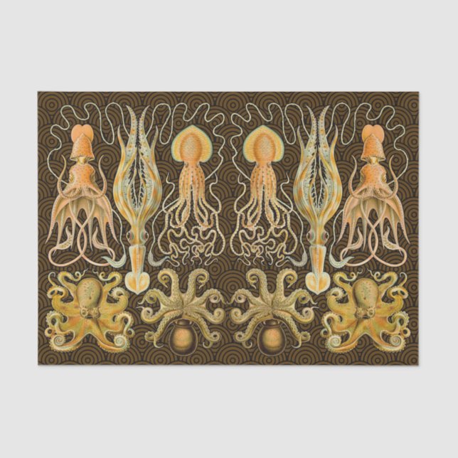 Papier Mousseline Cephalopod poulpe calmar Nature marine (Recto)