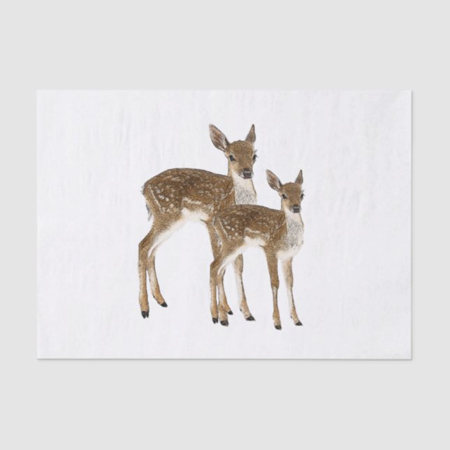 Papier Mousseline Cerf (Recto)