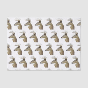 Papier Mousseline Cerf à queue blanche