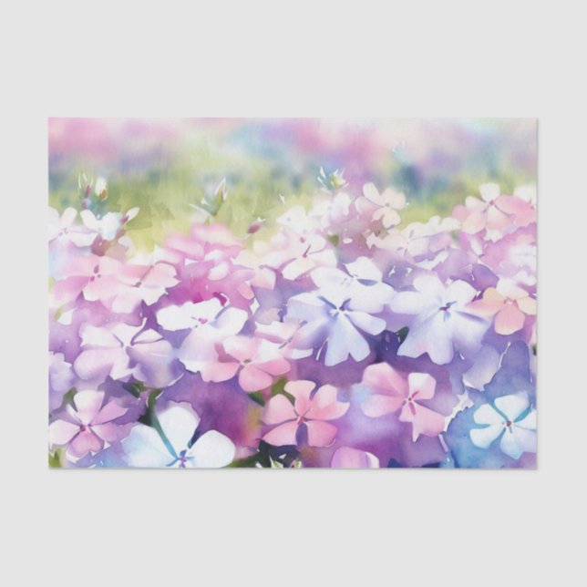 Papier Mousseline Champ d'aquarelle Fleurs-Phlox (D) (Recto)