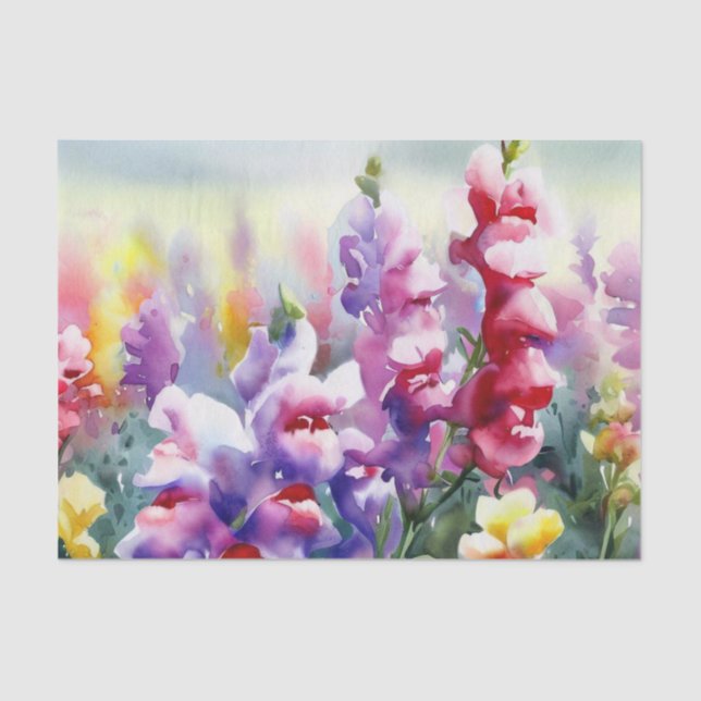 Papier Mousseline Champ d'aquarelle Fleurs-Snapdragon (D) (Recto)