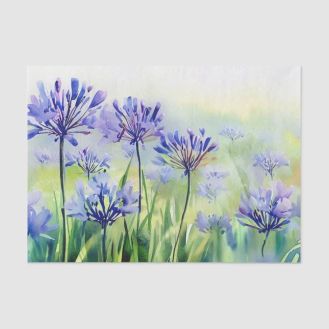 Papier Mousseline Champ de fleurs-Agapanthus, (D) Aquarelle (Recto)