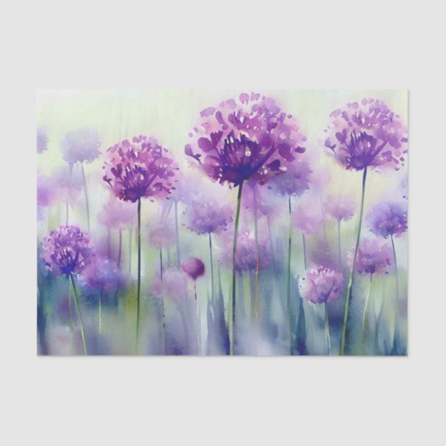 Papier Mousseline Champ de fleurs-Allium, (C) Aquarelle (Recto)