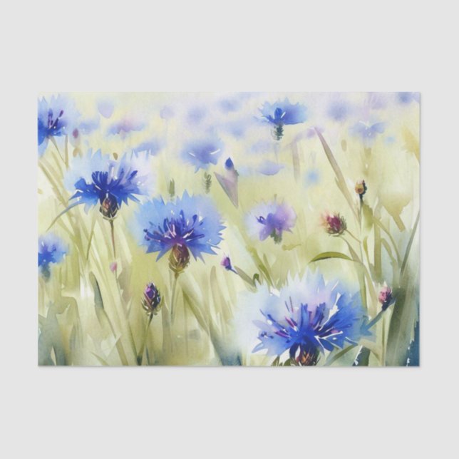 Papier Mousseline Champ de fleurs-Cornflower (A) Aquarelle (Recto)