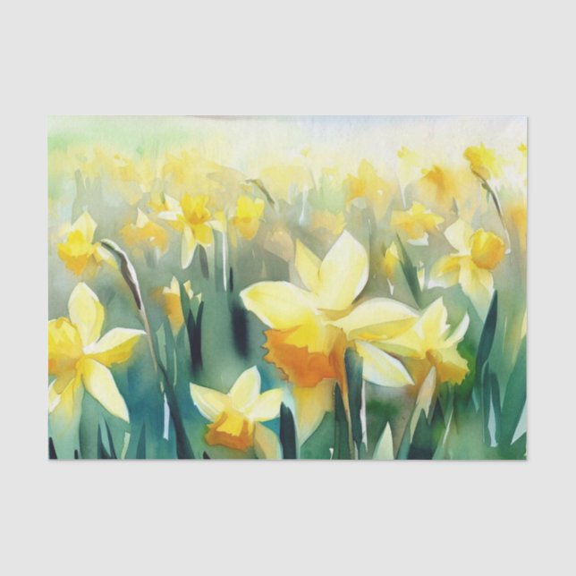 Papier Mousseline Champ de fleurs-Daffodil (A) Aquarelle (Recto)