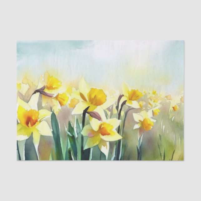 Papier Mousseline Champ de fleurs-Daffodil (D) Aquarelle (Recto)