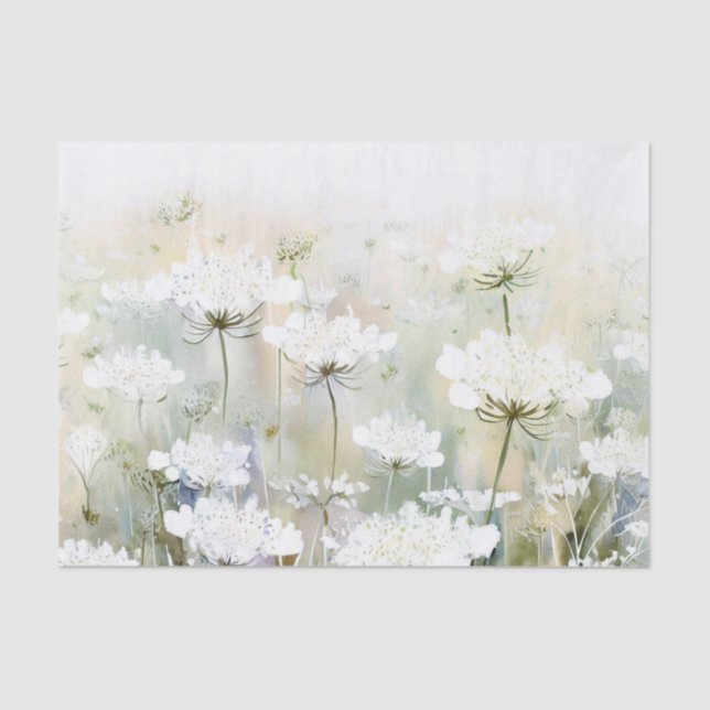 Papier Mousseline Champ de fleurs - Dentelle de la reine Anne (D) Aq (Recto)