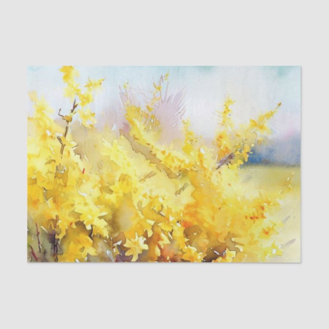Papier Mousseline Champ de fleurs-Forsythia (A) Aquarelle (Recto)