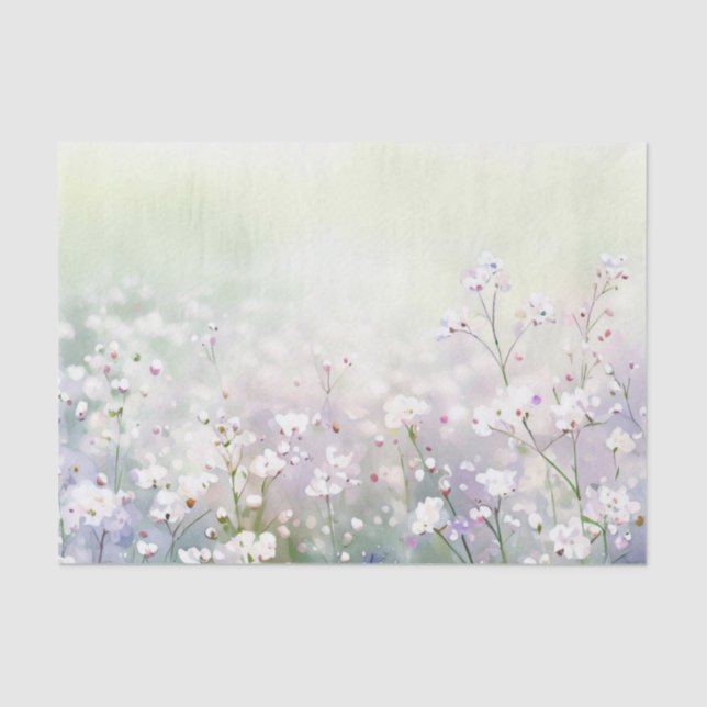 Papier Mousseline Champ de fleurs-Gypsophila (D) Aquarelle (Recto)
