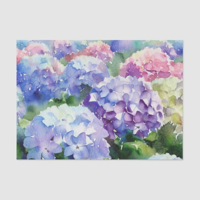 Papier Mousseline Champ de fleurs-Hydrangea (A) Aquarelle (Recto)