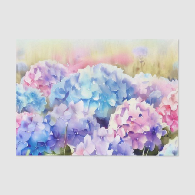 Papier Mousseline Champ de fleurs-Hydrangea (C) Aquarelle (Recto)