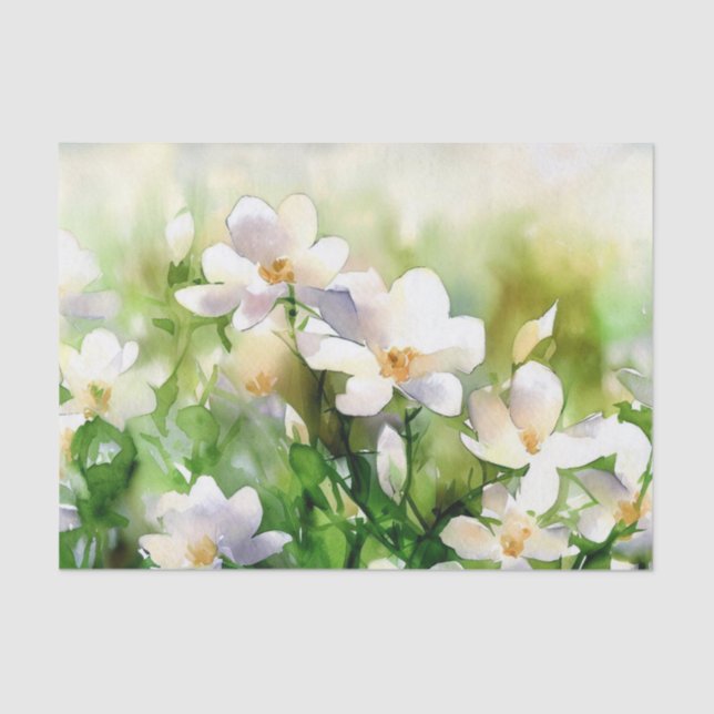 Papier Mousseline Champ de fleurs-Jasmine (A) Aquarelle (Recto)