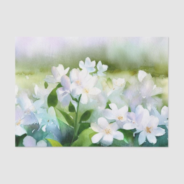 Papier Mousseline Champ de fleurs-Jasmine (D) Aquarelle (Recto)